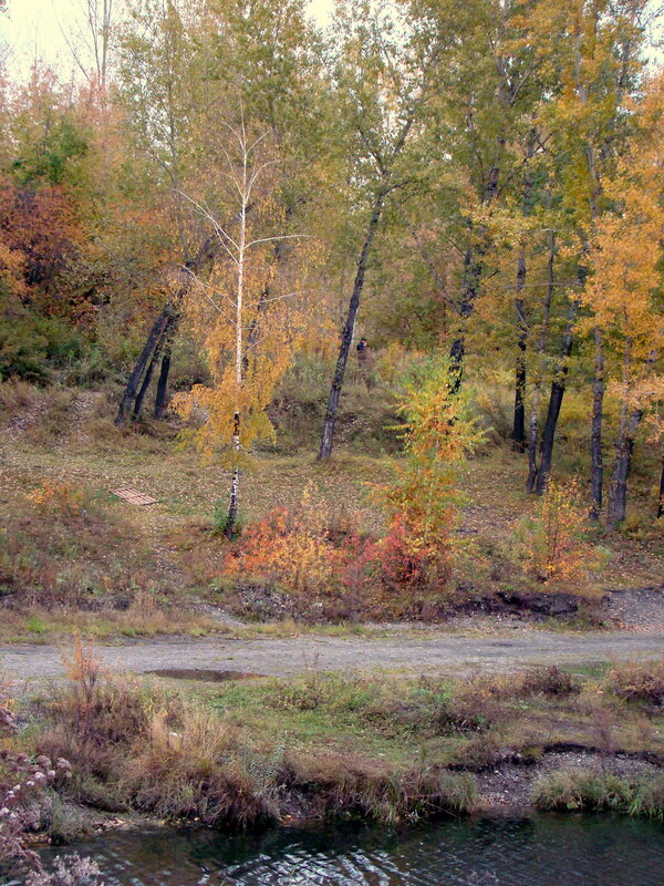 Осень в Красноярске. 2013