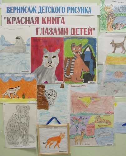 Животные Красной Книги Красноярского Края Фото